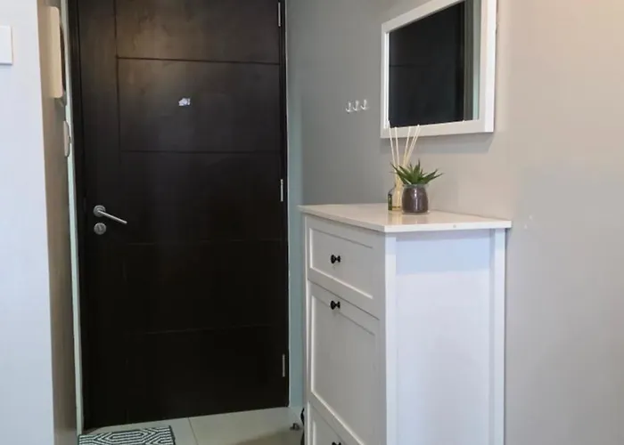 Cozy Avida Riala Tower 2 At It Park Apartment Cebu