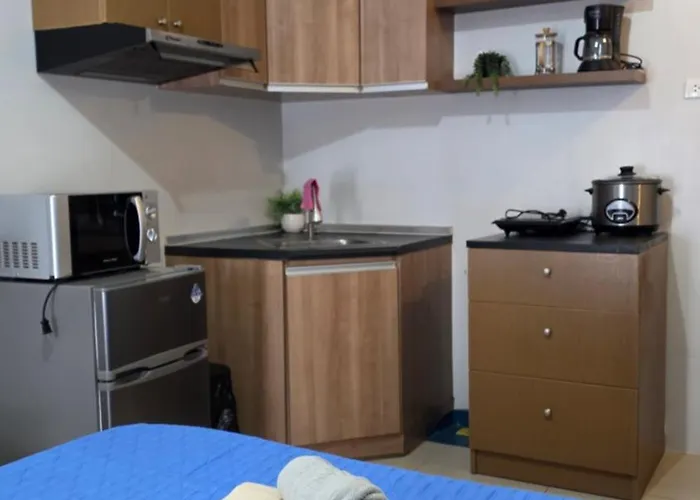 Apartment Cozy Avida Riala Tower 2 At It Park Cebu